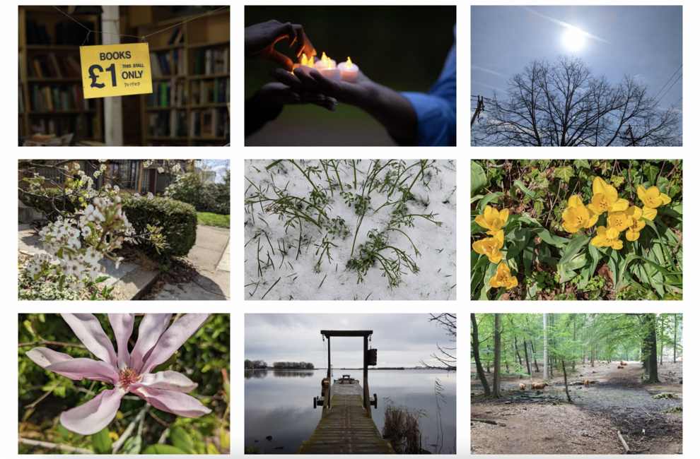 Grade de diversas imagens e fotos de natureza, paisagens naturais e urbanas