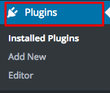 wordpress plugins section