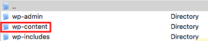 wordpress wp content folder 1