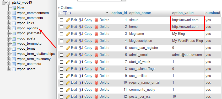 forma de verificar a sql query no phpadmin para mudar url wordpress