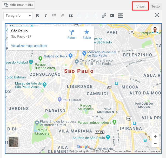 visualização do mapa google maps pela aba visual do wordpress