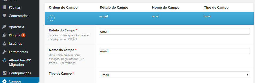 criando um campo personalizado de email no WordPress