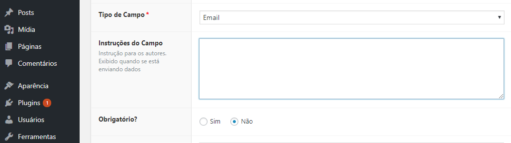 descrevendo campo personalizado de email