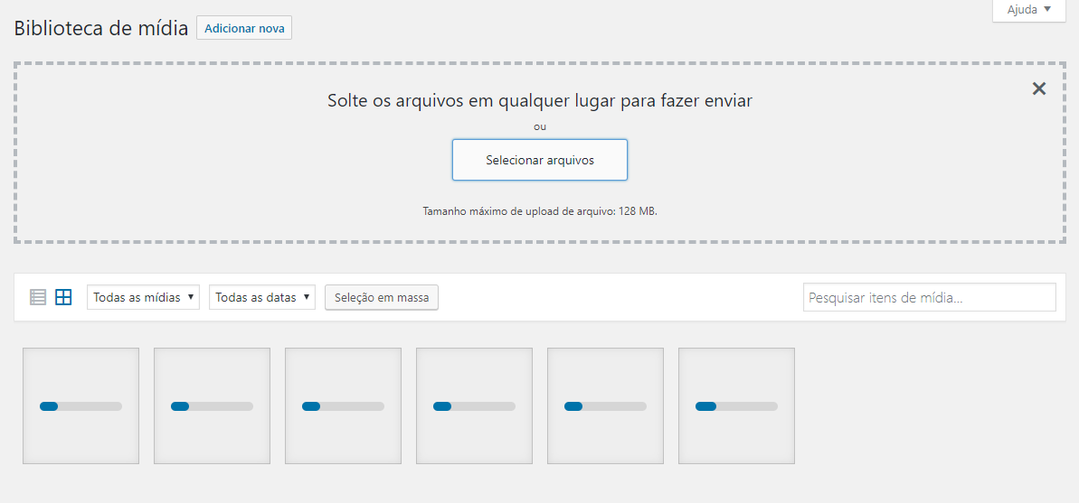 adicionando pasta de mídia no wordpress