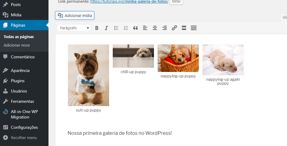 inserir galeria no wordpress