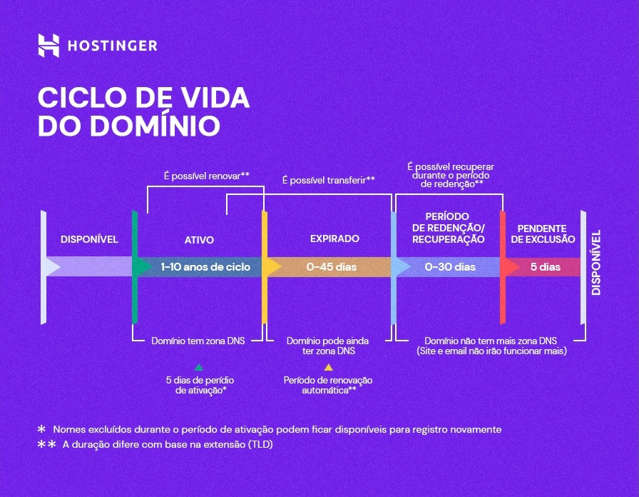 infográfico sobre ciclo de vida de um domínio