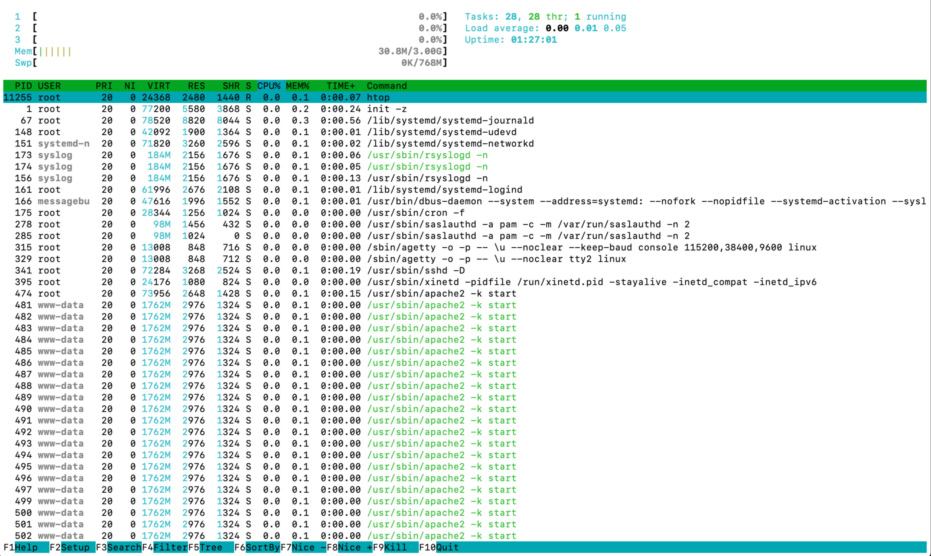 exemplo de um terminal rodando htop