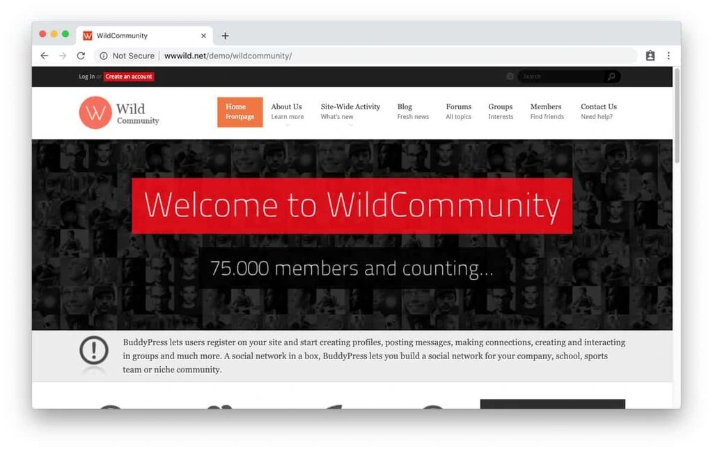 tema wordpress wild community