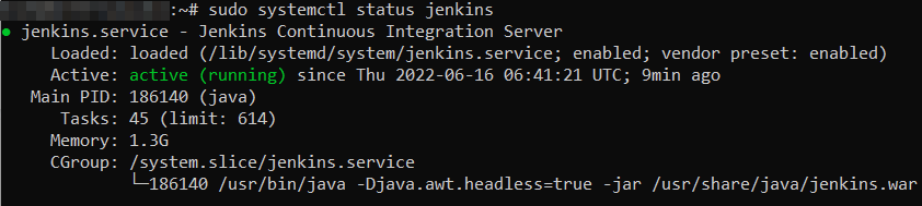verificando status do Jenkins no terminal