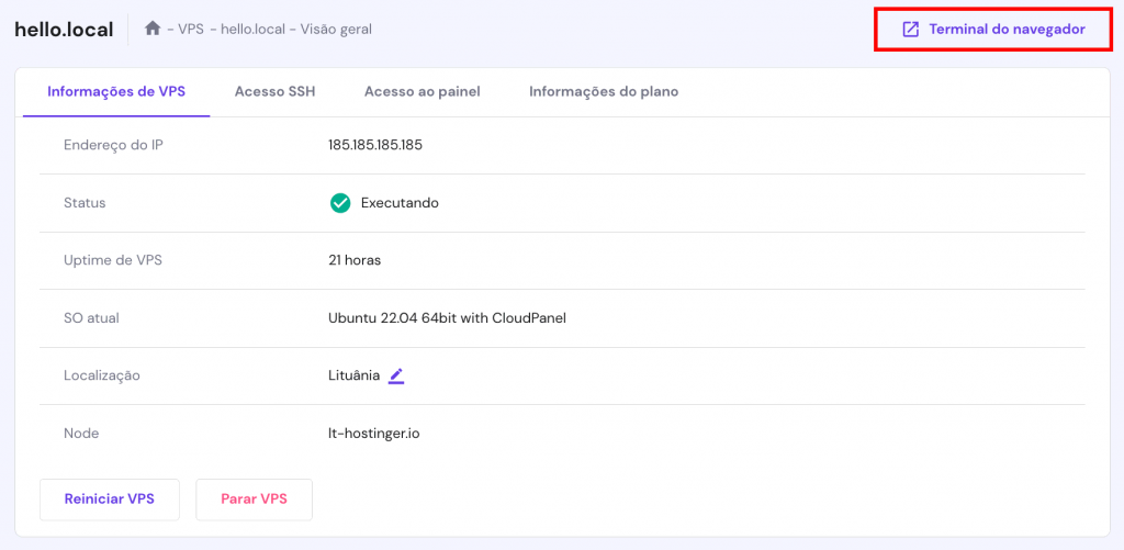 A página de visão geral do VPS no hPanel. O botão do terminal do navegador está destacado