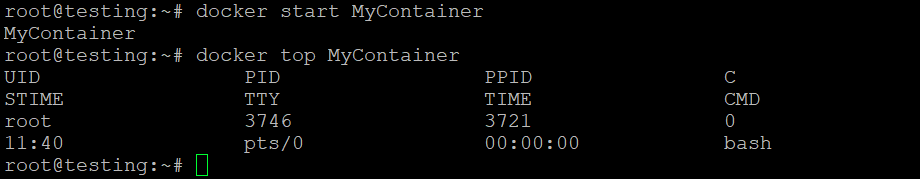 resultado do comando docker top container no terminal