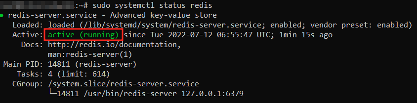 terminal indicando que o redis está ativo