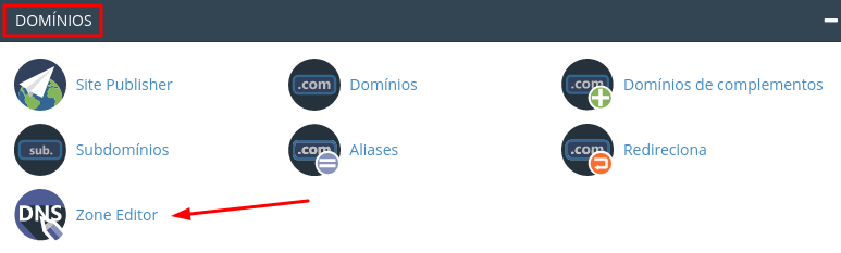 função de editor de zona de dns