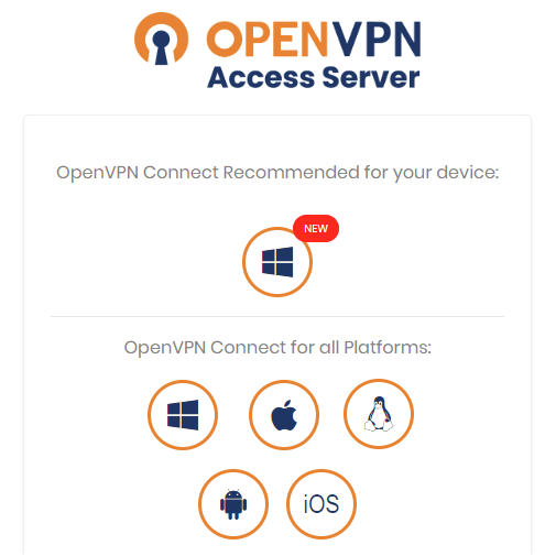 Selecionando o cliente OpenVPN para Windows