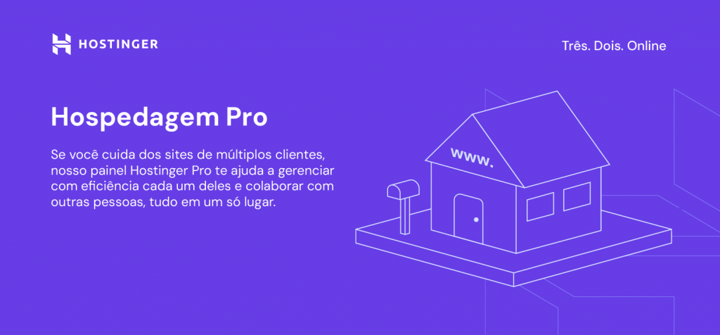 infográfico sobre hospedagem pro da hostinger