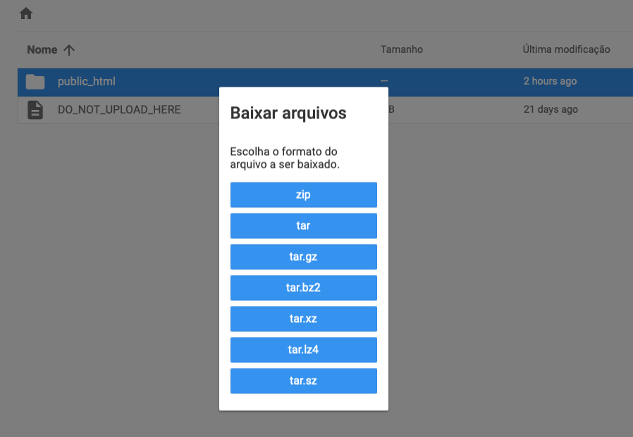 baixando pasta public_html no gerenciador de arquivos da hostinger