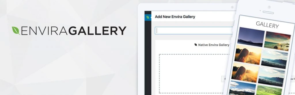 Página inicial do Envira Gallery