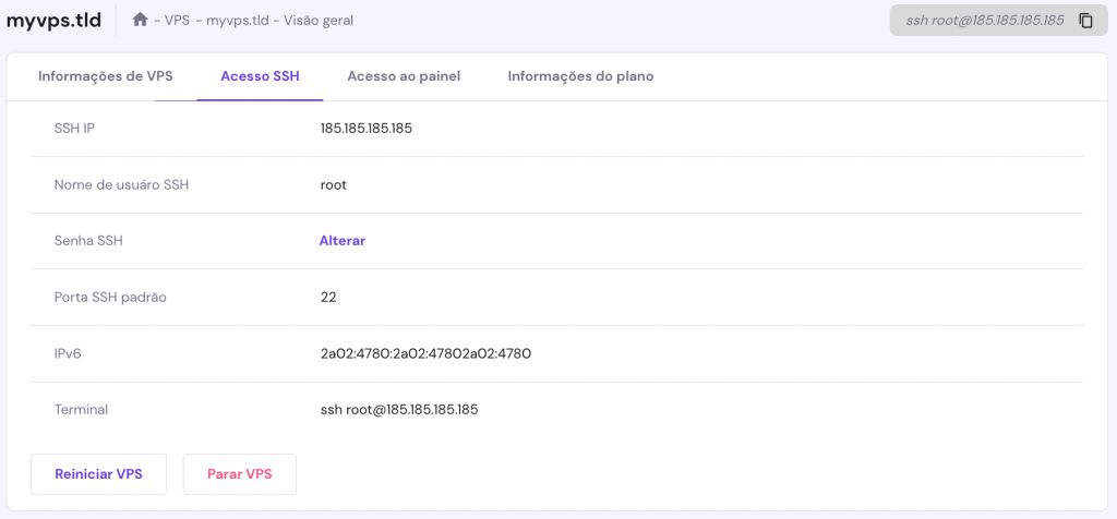 A página Visão Geral do VPS. A aba de acesso SSH está aberta