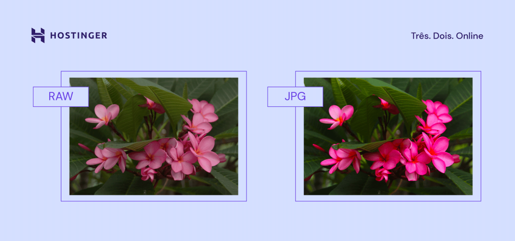 Comparação lado a lado de uma imagem em RAW e JPEG