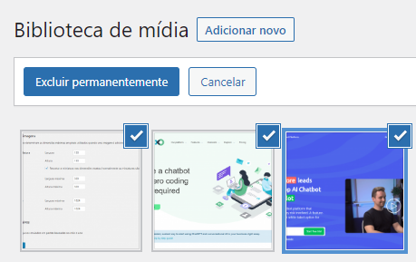 apagando imagens em massa no wordpress