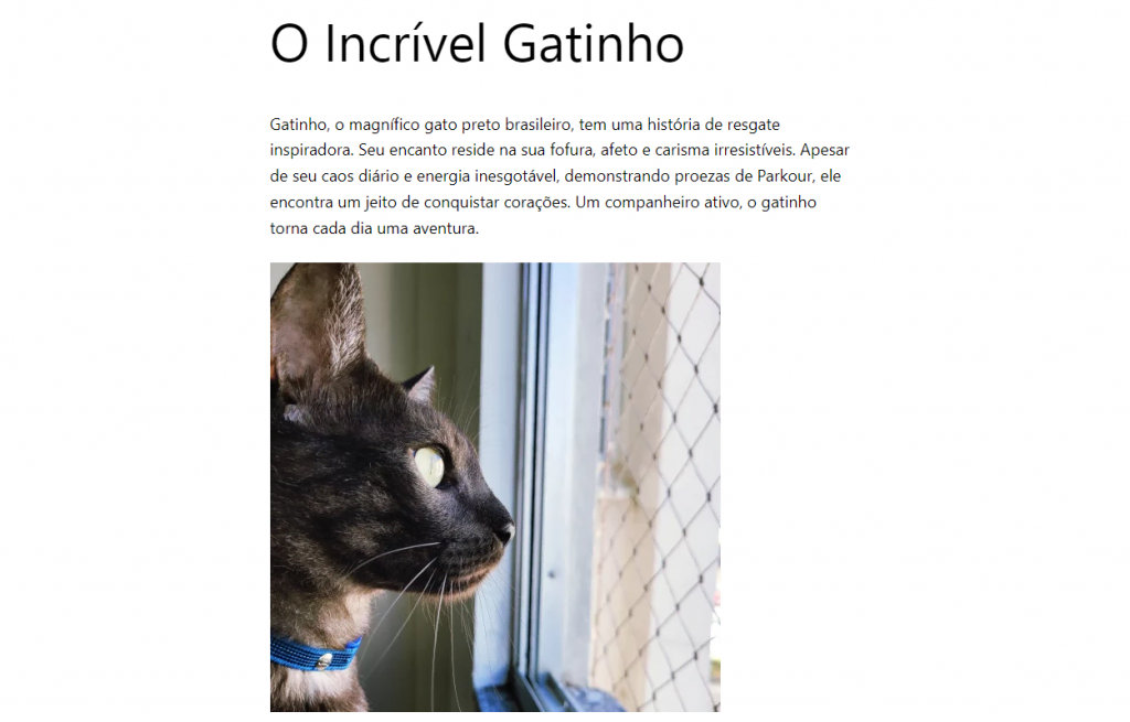 Publicação sobre O Incrível Gatinho, exemplificando uma imagem de 500 pixels por 500 pixels