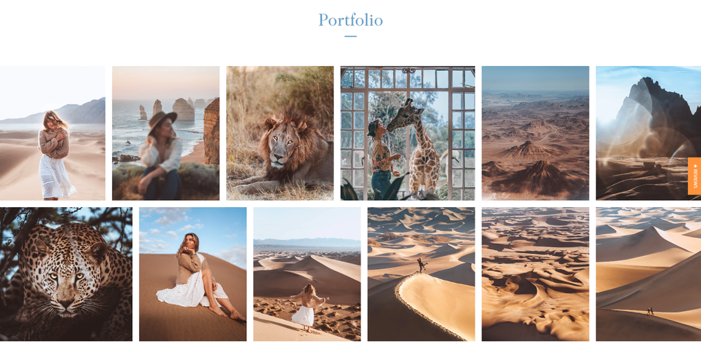 portfólio padrão de um site de fotografias