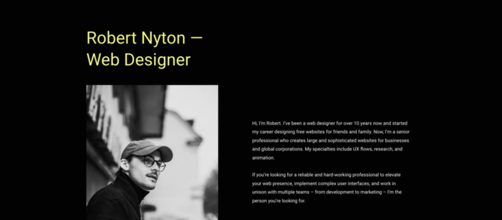 template de site robert nyton